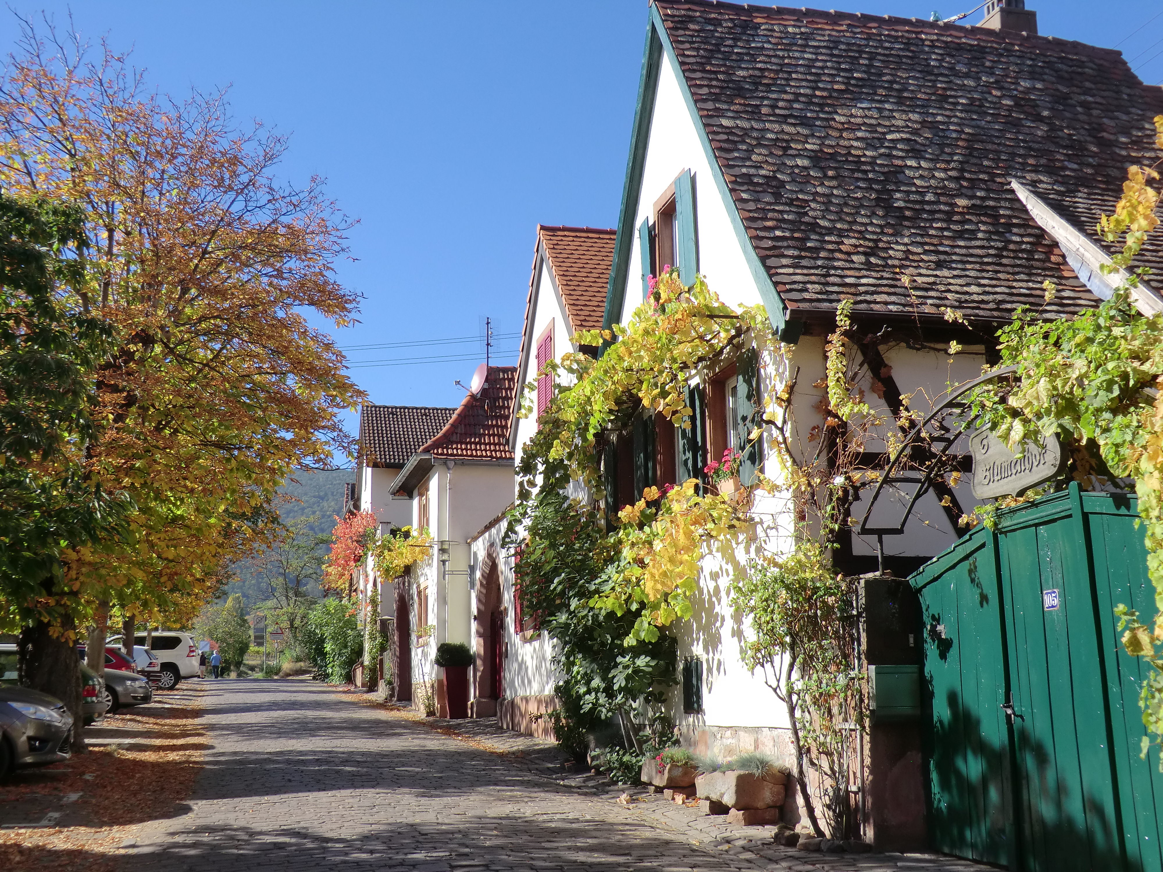 Terresinstraße in Rhodt